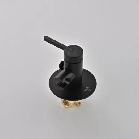 Гигиенический душ со смесителем Rose R235H, черный