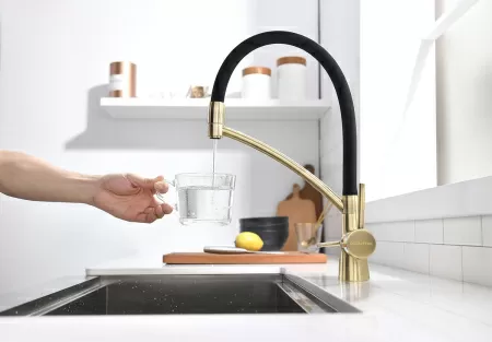 Смеситель для кухни Paulmark SIЕGEN Si213111-BR, бронза