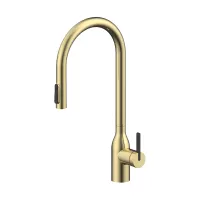 Смеситель для кухни Paulmark UNIVERSAL Un213880-SBG, светлое брашированное золото