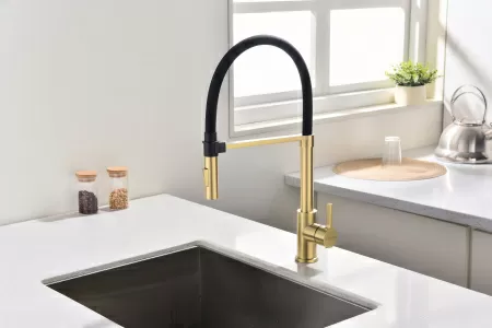 Смеситель для кухни Paulmark HALT Ha214021-SBG, светлое брашированное золото