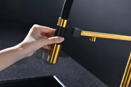 Смеситель для кухни Paulmark MAGNETO ONE Ma213188-BG, брашированное золото
