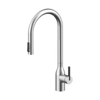 Смеситель для кухни Paulmark UNIVERSAL Un213880-BS, брашированная сталь
