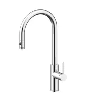 Смеситель для кухни Paulmark GALANT Ga213077-CR, хром