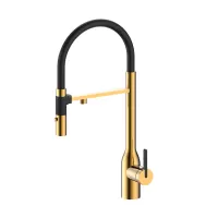 Смеситель для кухни Paulmark MAGNETO ONE Ma213188-BG, брашированное золото